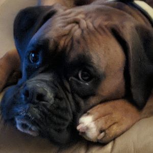 Meet your Posher, Kristen